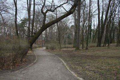 270308-Buergergarten-8.jpg